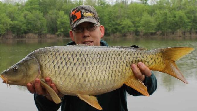 What's your favorite freshwater fish?