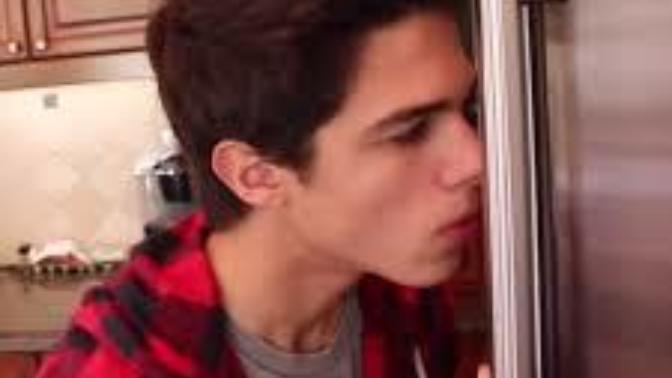Trying to turn off the fridge light without fully closing the door?