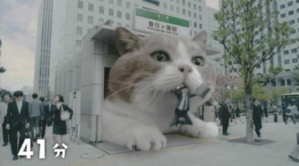 What would you do if your city was invaded by a Giant Cat?