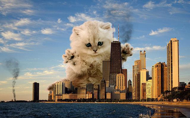 What would you do if your city was invaded by a Giant Cat?