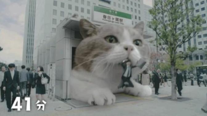 What would you do if your city was invaded by a Giant Cat?