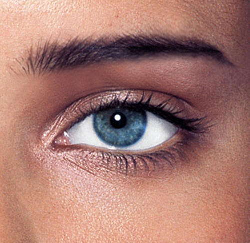 Do you prefer straight eyebrows or arched eyebrows? 
