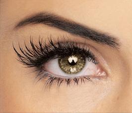 Do you prefer straight eyebrows or arched eyebrows? 