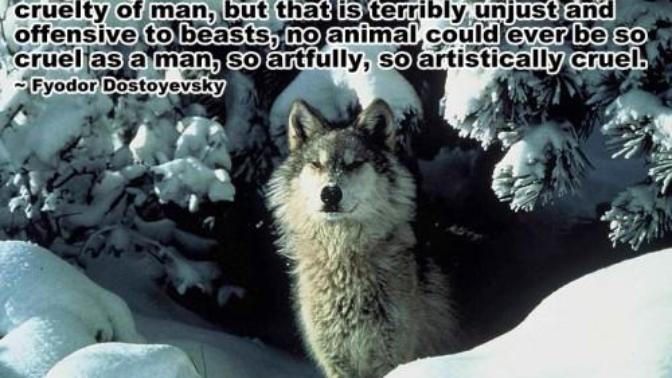 Do you ever think that humans are the most ruthless, cruel and destructive creatures that have ever lived?