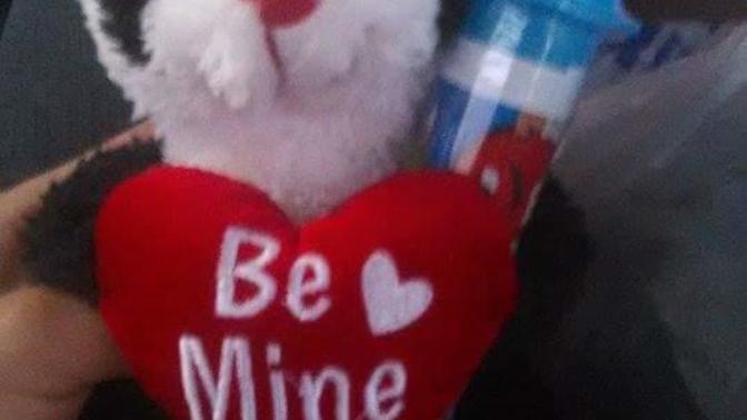 Is this a good gift to give a girl?