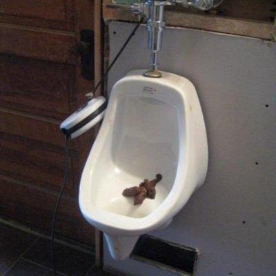 Girls, if you were triple-dog-dared to sneak into the boys restroom to take a shit on one of the urinals and then take off?