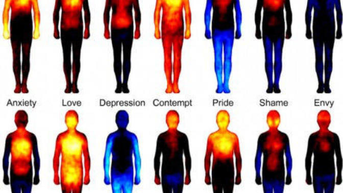 What is the most beneficial emotion? How about the most destructive?
