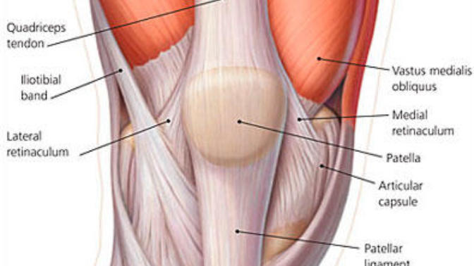Help! How do I work out my inner quads with weights or whatever?