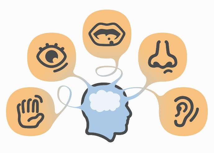 If you had to give up 1 of your 5 senses to save a loved one, which sense would it be(Smell removed as an option)? 
