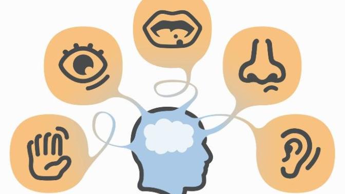 If you had to give up 1 of your 5 senses to save a loved one, which sense would it be (Smell removed as an option)?