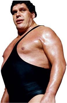 Who was your favourite WWF wrestler of the 1980's?