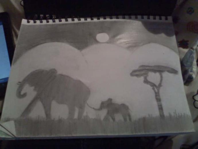 So you think my art woek is good enough to sell? If so how much o u think it would sell for?