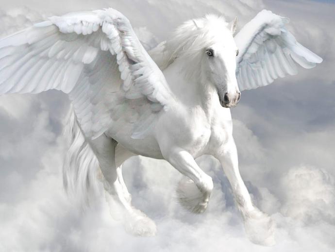 Rate this Mythological creature: The Pegasus?