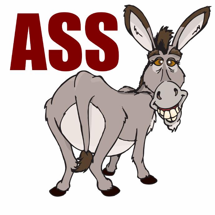 Guys, Butt or Boobs??