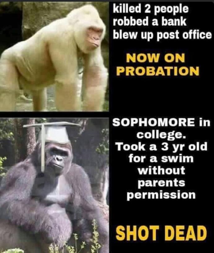 Are you goriallist and do you agree with this?