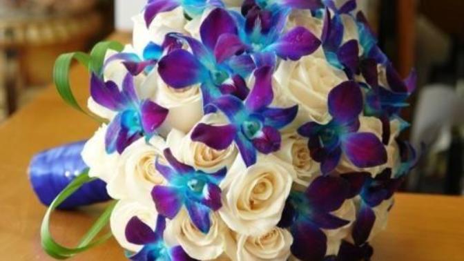 Whats your 6 favorite flowers?