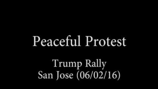Why are anti-Trump protestors so much more violent than Trump supporters?