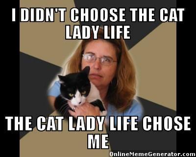 Anyone find it stupid that women would rather die alone than pick a guy who isn't her ideal?