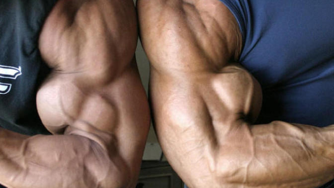 Girls , which muscles are most attractive on a guy?