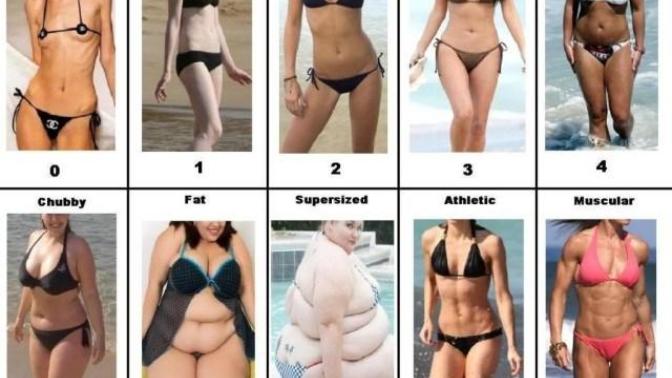 Which body type do you find most attractive?
