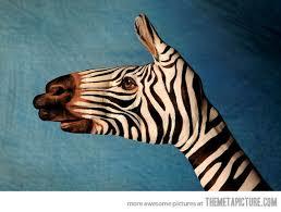 My husband wants a divorce cuz he thinks a zebra is a black horse with white stripes & I think it's a white horse with black stripes, who's right?