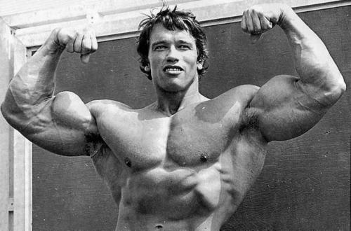 How much Time and supplements needed to have a body like Schwarzenegger? 