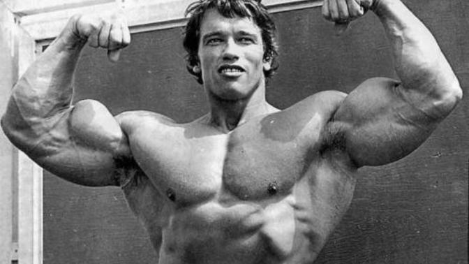 How much Time and supplements needed to have a body like Schwarzenegger?
