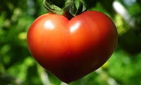 Vegetable or Fruit?