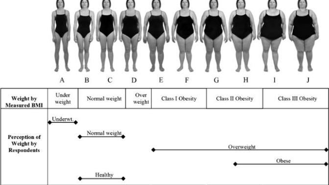 Which body figure would be your ideal for women you'd date?