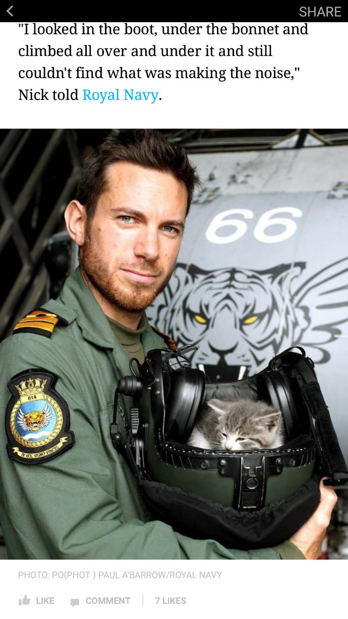 Girls, This Hot British Navy Pilot Rescued a Kitten! Isn't he the trifecta of perfection?
