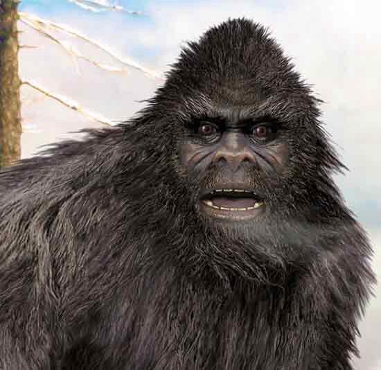 Do you think Sasquatch is real? 