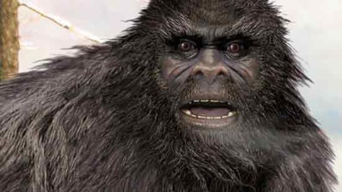 Do you think Sasquatch is real?
