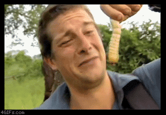 Have you ever eaten bugs before?