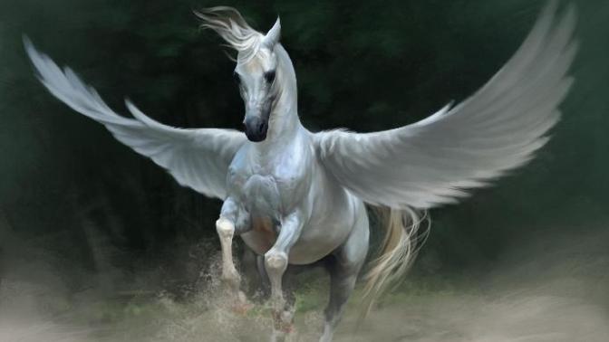 Would you rather have a pegasus or a unicorn?