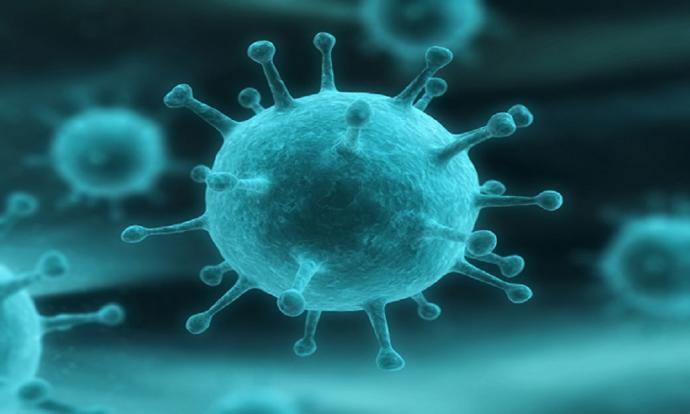 Have you ever had chicken pox before?