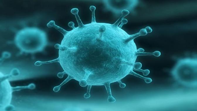 Have you ever had chicken pox before?