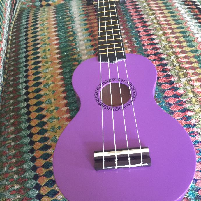 who here plays the ukulele ?