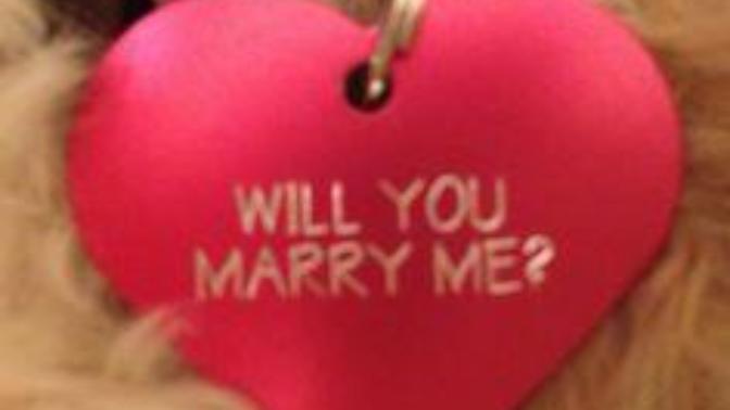 Am I being unrealistic about my dream proposal?