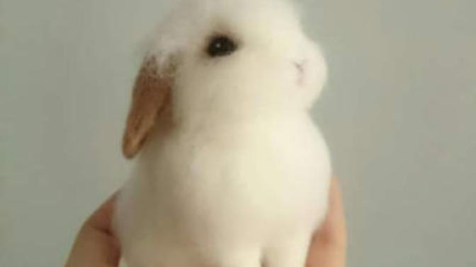 What makes something cute? Can anything be cute if it's small and fluffy?