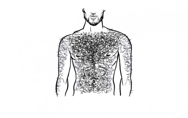 Girls, Body hair on guys, what do you think?
