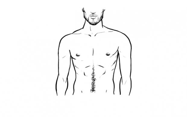 Girls, Body hair on guys, what do you think?