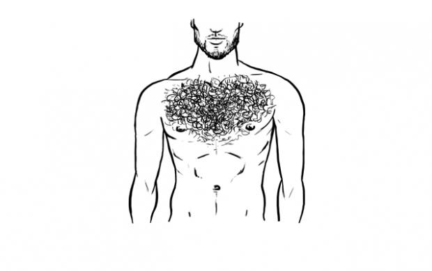 Girls, Body hair on guys, what do you think?