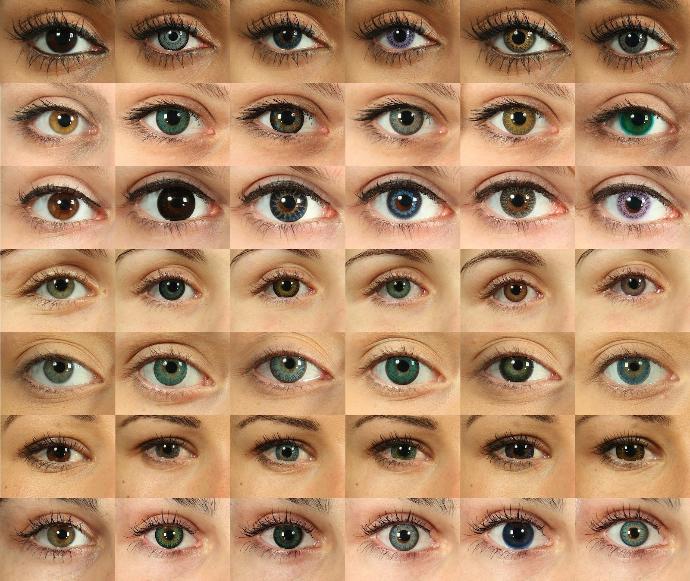 Which eyecolor attracts you the most?
