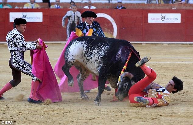 How do you feel about the matador being killed by a bull?