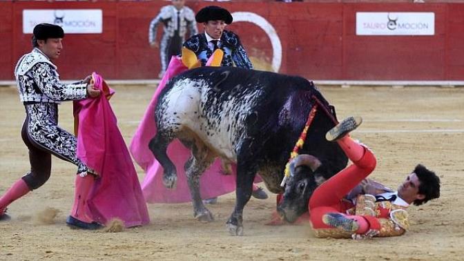 How do you feel about the matador being killed by a bull?