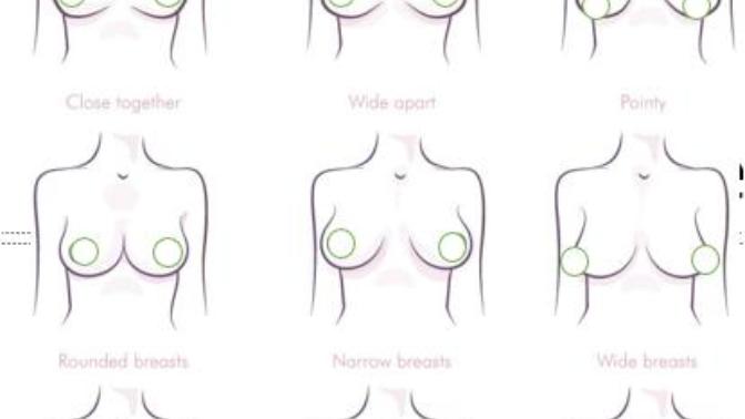Girls, I'm curious-- what shape are your breasts?
