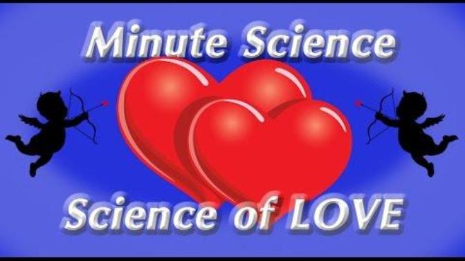 Who has given up on "Love" or relationships and if you did, then why? What made you decide to call it quits?