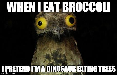 I'm going to cook broccoli now !! : D. WHO likes broccoli?