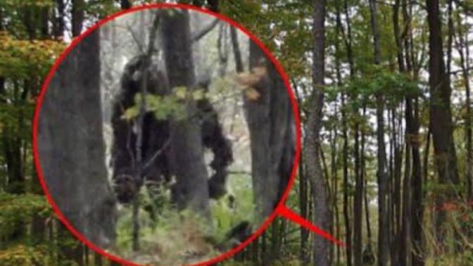 Do you think Bigfoot exists?