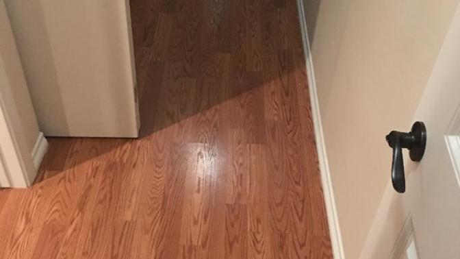 Why do my cats insist on doing sprints in the hallway at 4:30AM everyday?